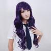 Fantasia Sango 4 Zi Cheng Deep Purple Halloween Men's Cosplay Wig