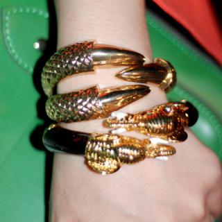 Stylish and Retro Style Owlclaw Shape Bracelet