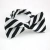 Color Block Diagonal Stripe Polyester Men's Stripe Bow Tie