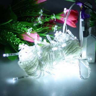 White Light LED Light String for Christmas Decoration AC220V 10M 100 LEDs Euro Plug
