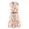 Ladylike V-Neck Printed Sleeveless Women's Chiffon Dress Without Belt 