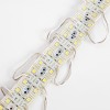 Unsurpassed Performance 4 x 5050 SMD LEDs DC12V 20Pcs Module - White Light